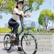 20インチ折りたたみ自転車 [P008N]