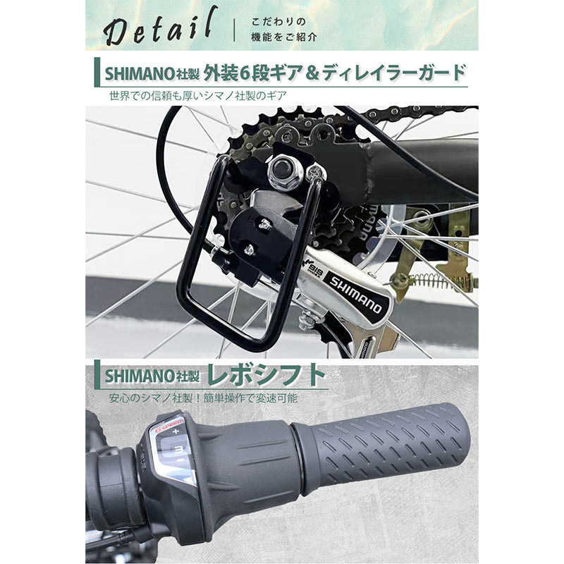 20インチ折りたたみ自転車 [EB-020np] ノーパンクタイヤ