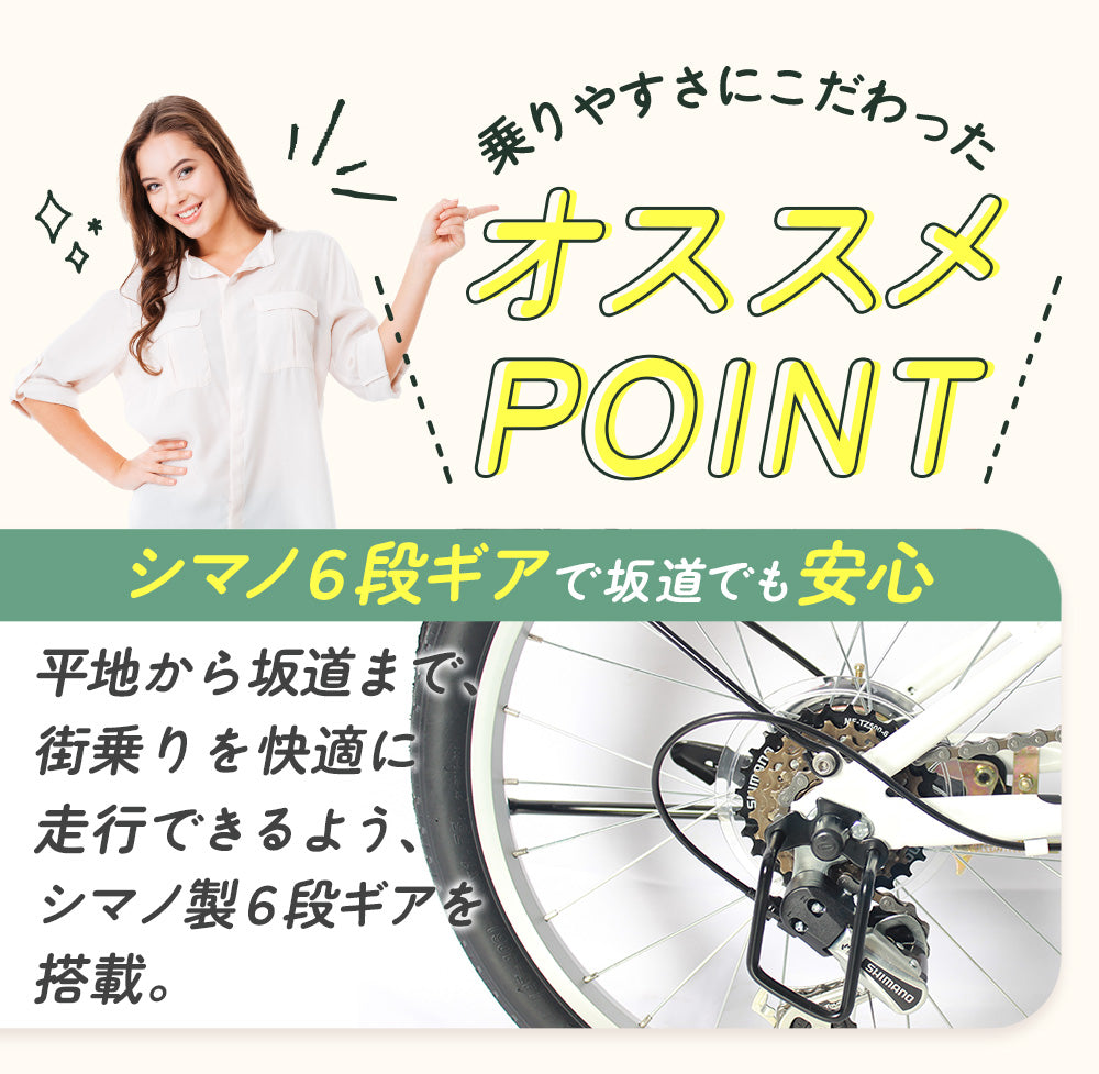 20インチ折りたたみ自転車 [P-008C] 荷台付き