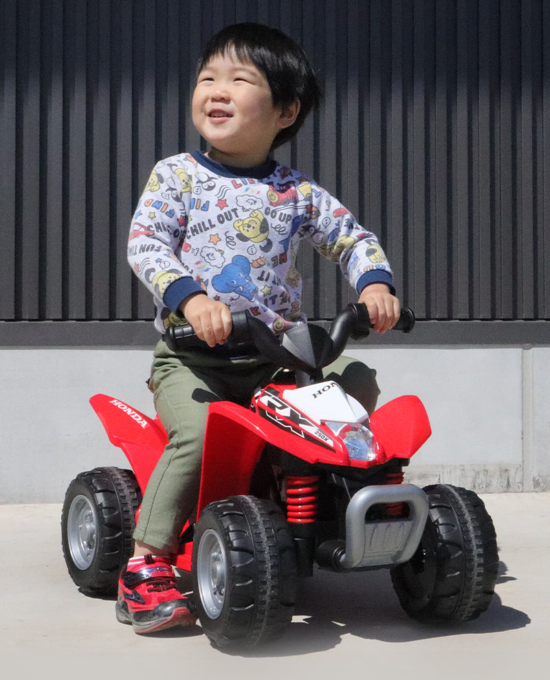 電動乗用玩具 ホンダ TRX250X