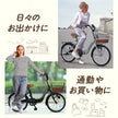 20インチ折りたたみ自転車 [TS20M] シティサイクル