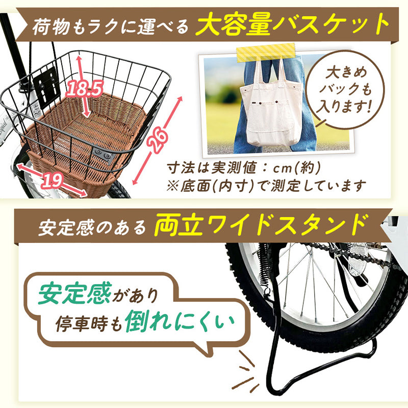 20インチ折りたたみ自転車 [TS20M] シティサイクル