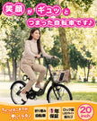 20インチ折りたたみ自転車 [TS20MB]