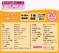 20インチ折りたたみ自転車 [TS20MB]
