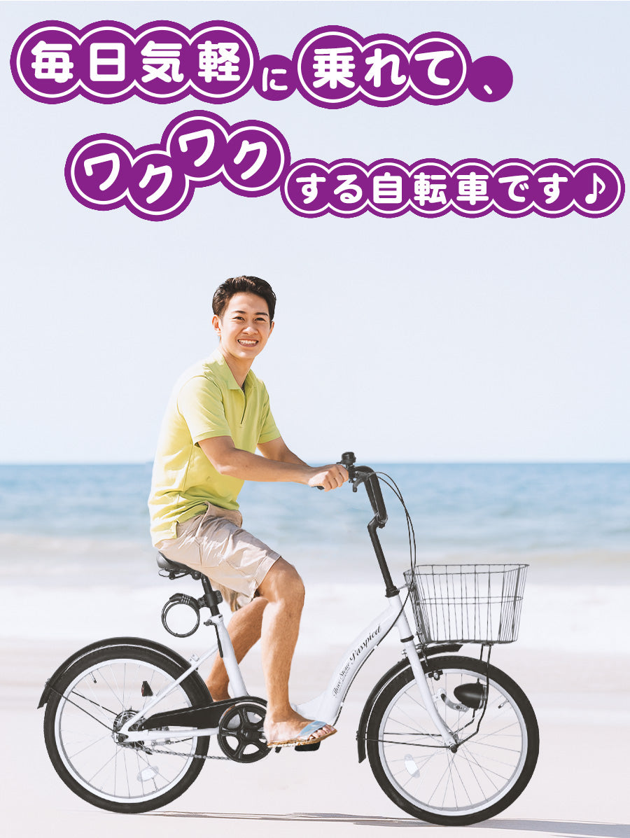 20インチ折りたたみ自転車 [TS20MB]