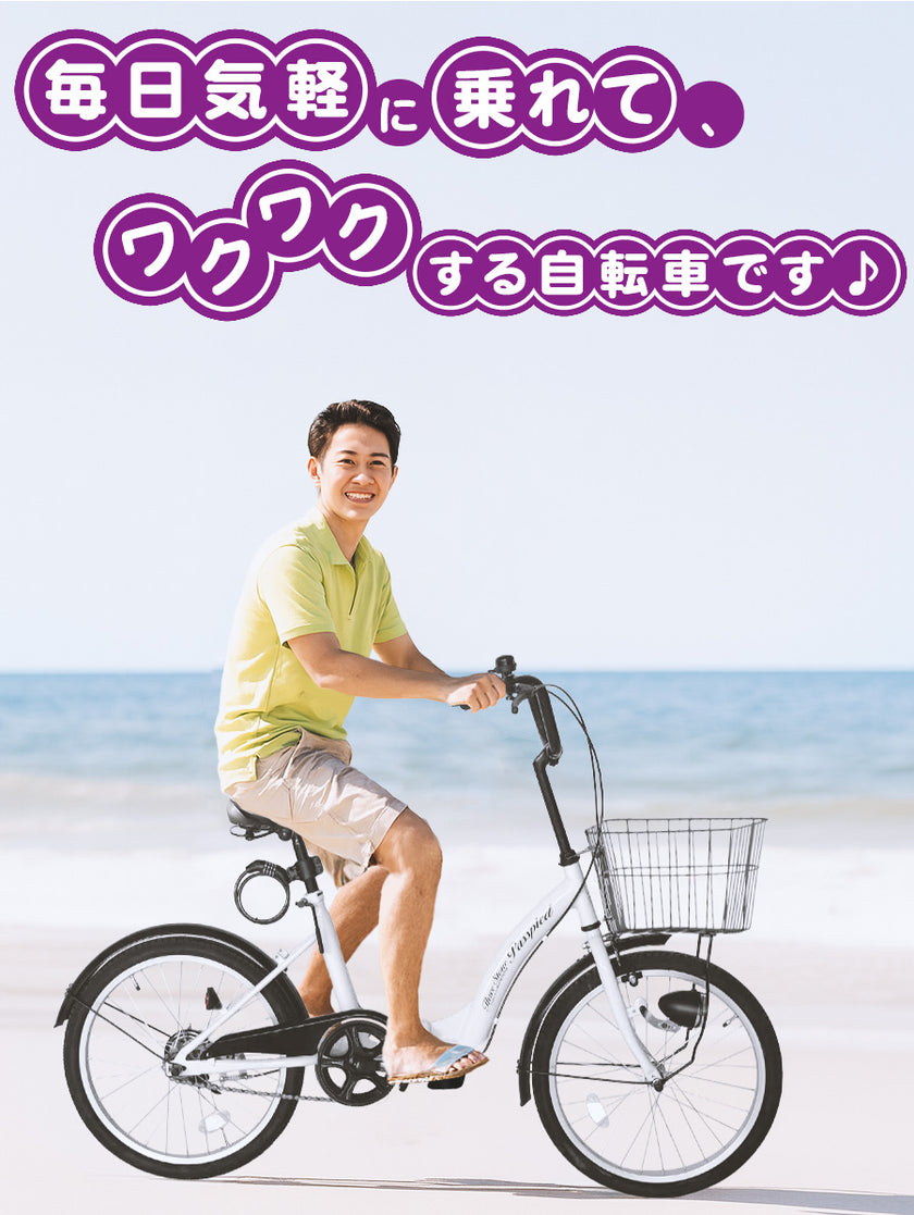 20インチ折りたたみ自転車 [TS20MB]