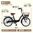20インチ折りたたみ自転車 [TS20M-np] ノーパンクタイヤ