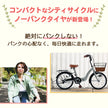 20インチ折りたたみ自転車 [TS20M-np] ノーパンクタイヤ
