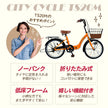 20インチ折りたたみ自転車 [TS20M-np] ノーパンクタイヤ