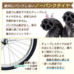 20インチ折りたたみ自転車 [TS20M-np] ノーパンクタイヤ